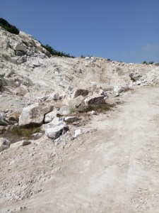 1565850515895920.jpg 201611101002483201.jpg