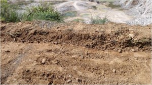 1565850600240723.jpg 20161110101244671.jpg