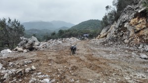 1565850699828381.jpg 201611151728206261.jpg