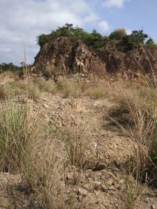 1565853328447404.jpg 201810091005517758.jpg