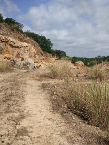 1565854208949526.jpg 201903121605477999.jpg