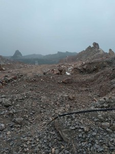 1565920048445574.jpg 201905290959086378.jpg