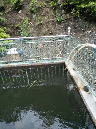 1571020640122685.jpg Compress_微信圖片_201905031733568.jpg